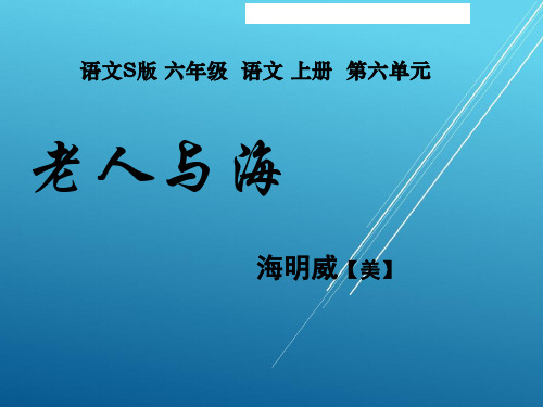 2020年  6上语文--29老人与海_ppt_语文s版