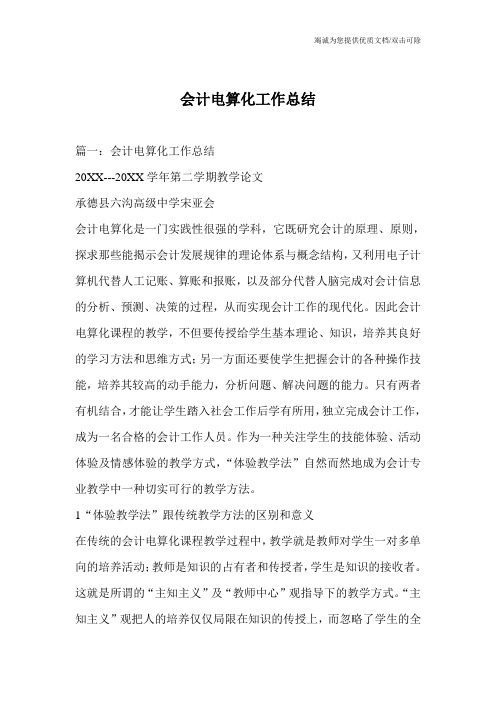 会计电算化工作总结