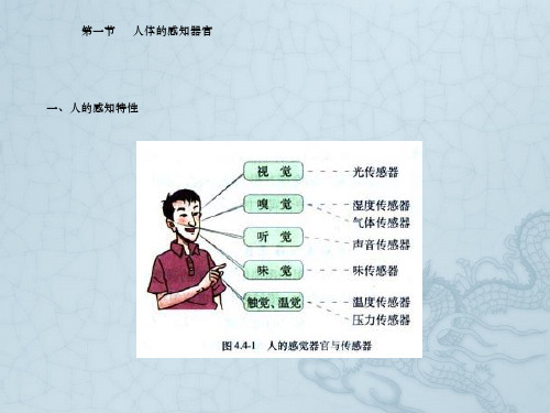 第三章人体特性