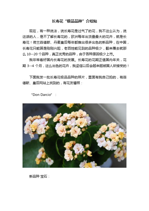 长寿花“极品品种”介绍贴