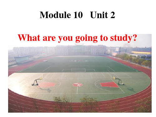 外研英语一起三年级上册Module 10 Unit 2 课件