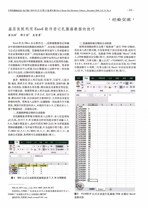 基层医院利用excel软件登记乳腺癌数据的技巧