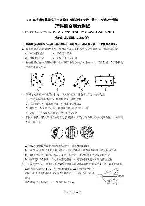 2011年普通高等学校招生全国统一考试西工大附中第十一次适应性训练理科综合能力测试