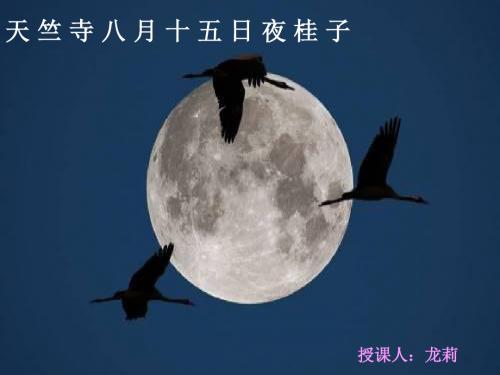 天竺寺八月十五日夜桂子授课人