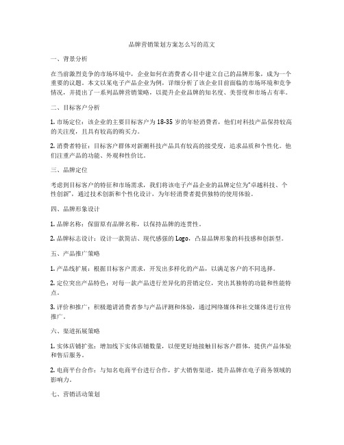 品牌营销策划方案怎么写的范文