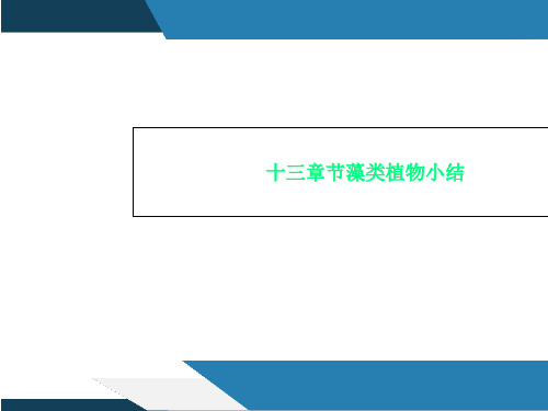 十三章节藻类植物小结