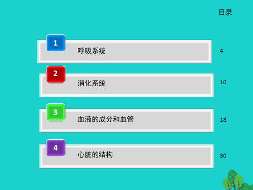 初中生物图汇总人体图汇总课件新人教版