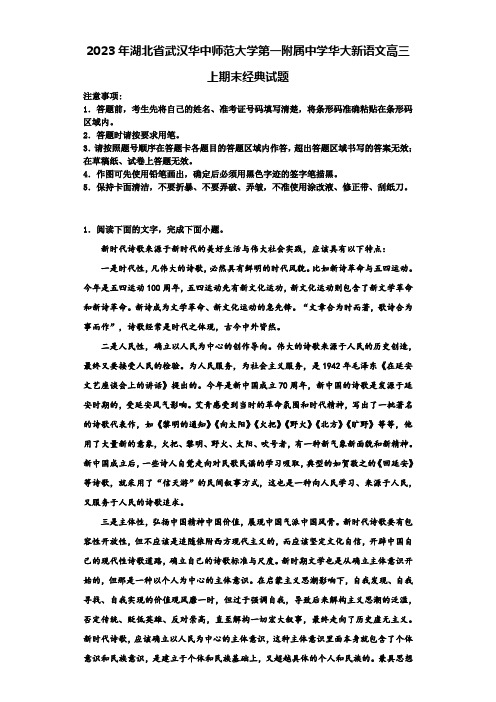 2023年湖北省武汉华中师范大学第一附属中学华大新语文高三上期末经典试题含解析