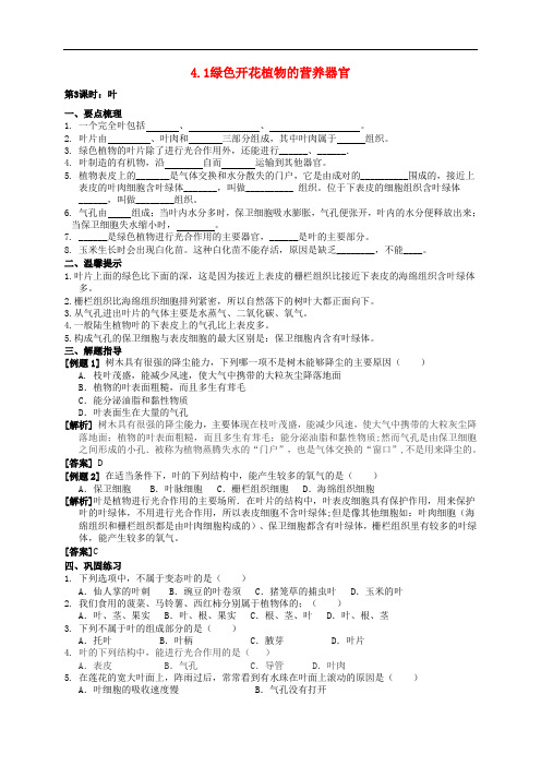 八年级科学上册 4.1 绿色开花植物的营养器官(第3课时)