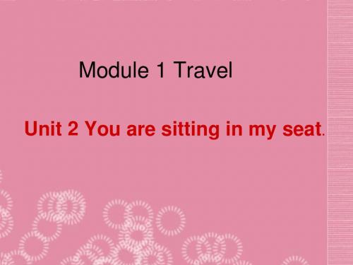 Module 1 Travel Unit 2 You are sitting in my seat 课件4 (外研版九年级下)