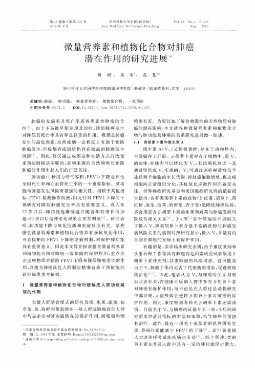 微量营养素和植物化合物对肺癌潜在作用的研究进展