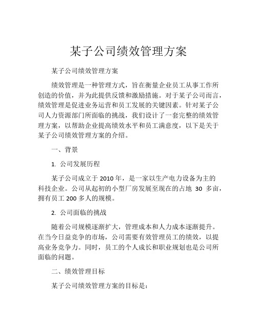 某子公司绩效管理方案