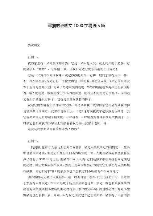 写猫的说明文1000字精选5篇