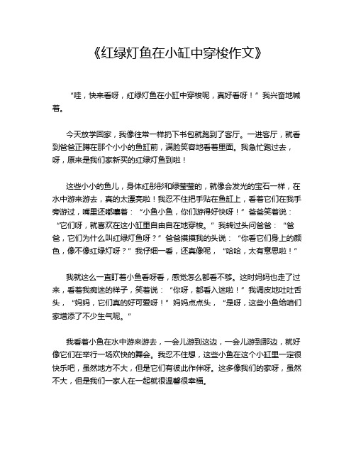 《红绿灯鱼在小缸中穿梭作文》