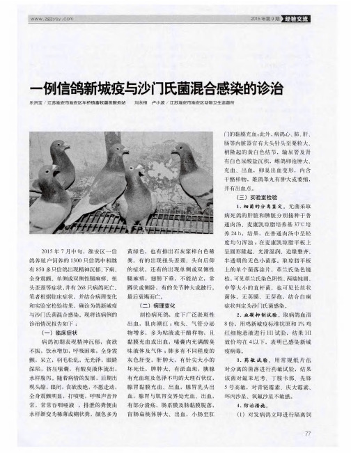 一例信鸽新城疫与沙门氏菌混合感染的诊治