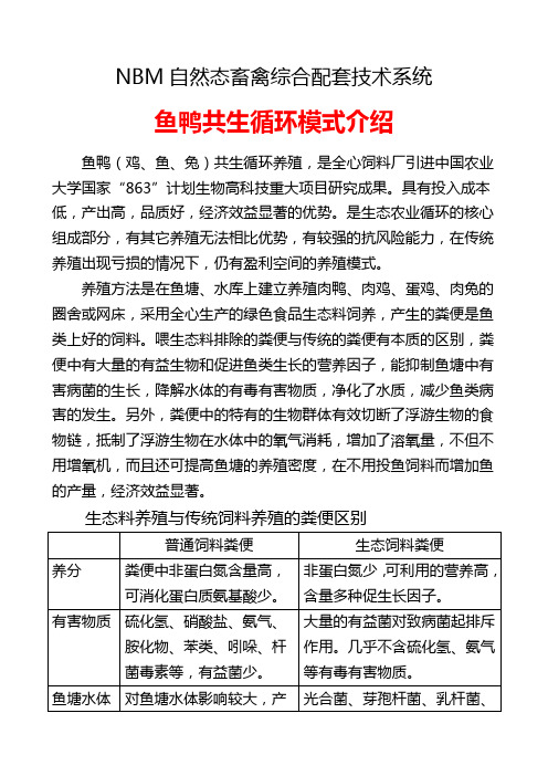 NBM技术——养殖循环模式