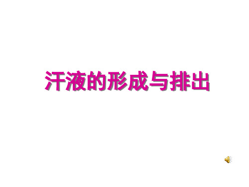 济南版七下3.4.2汗液的形成和排出(共12张PPT)
