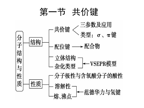 高三化学一轮复习化学键、分子结构与性质