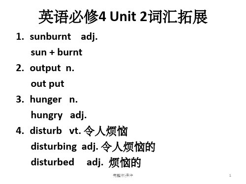 人教版-英语-必修4课文讲解Unit2-完整ppt课件