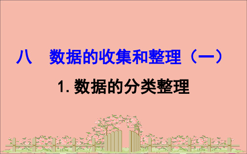 二年级下册数学课件-八休闲假日_解决问题8.1数据的分类整理课件苏教版 (共21张PPT)