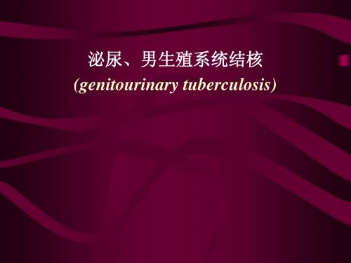 泌尿、男生殖系统结核(genitourinary tuberculosis)