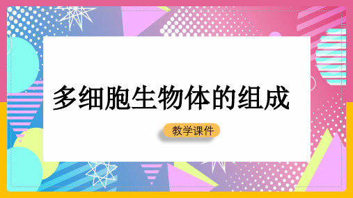 初中生物多细胞生物体的组成ppt课件