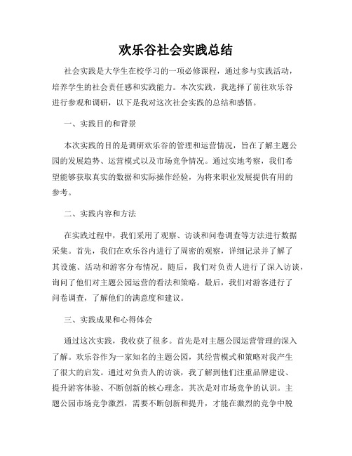 欢乐谷社会实践总结