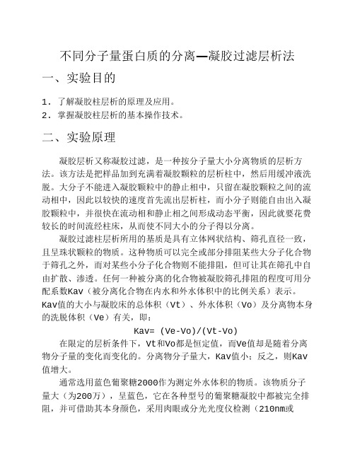 不同分子量蛋白质的分离—凝胶过滤层析法