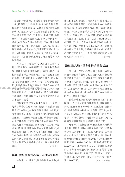 福建:顺昌洋墩举办第二届柑桔采摘季