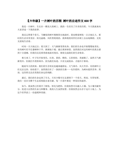 【六年级】一片树叶的历程 树叶的自述作文600字