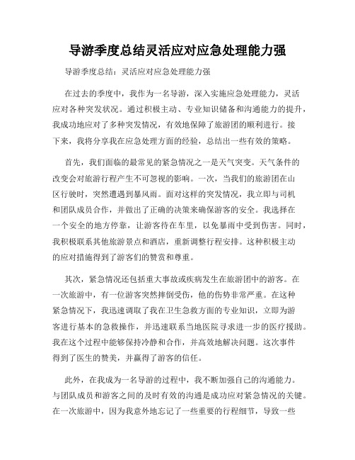 导游季度总结灵活应对应急处理能力强