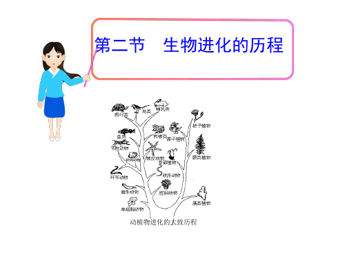 【课件3】第二节生物进化的历程