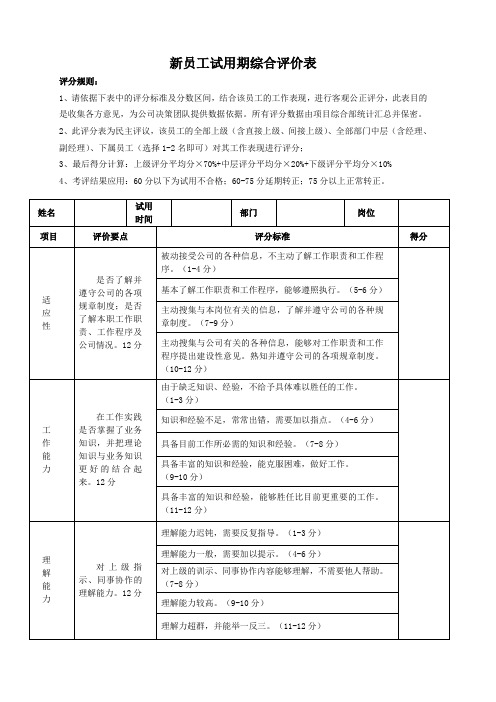 新员工试用期综合评价表