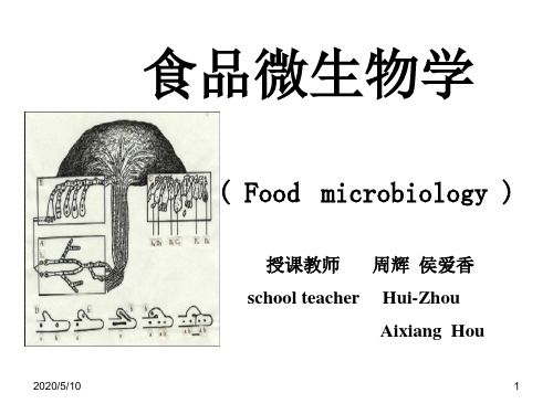 江汉湖第三版  食品微生物学01第一章绪论