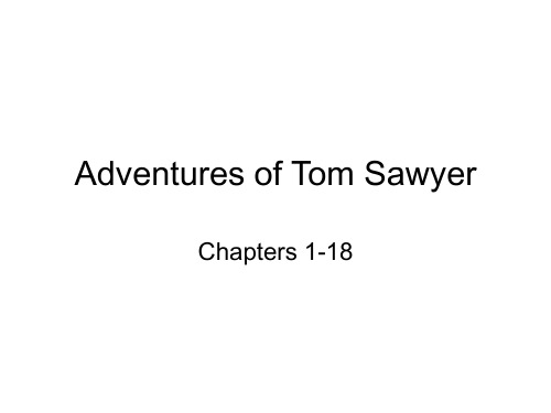 Adventures of Tom Sawyer 1汤姆索亚历险记答案