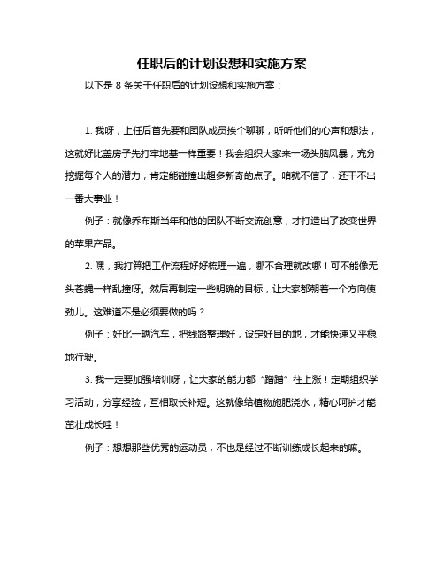 任职后的计划设想和实施方案