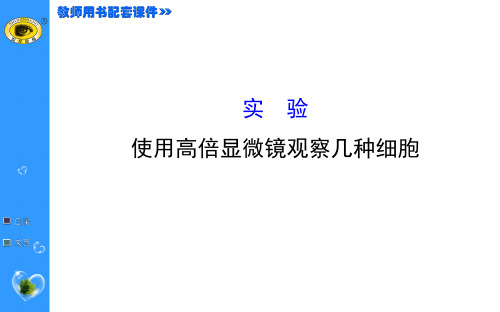 1.实验使用高倍显微镜观察几种细胞