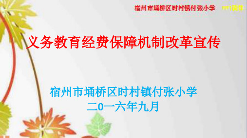 付张义务教育经费保障机制改革宣传