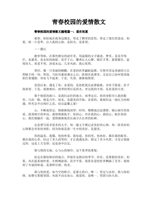 青春校园的爱情散文