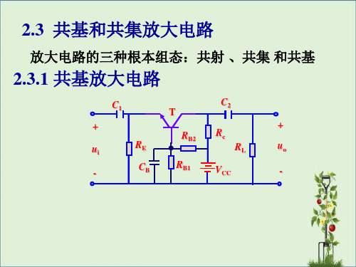 共基和共集放大电路