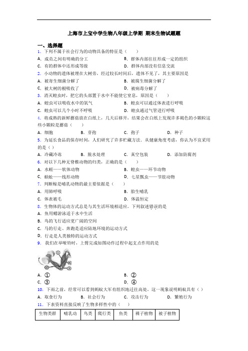 上海市上宝中学生物八年级上学期 期末生物试题题