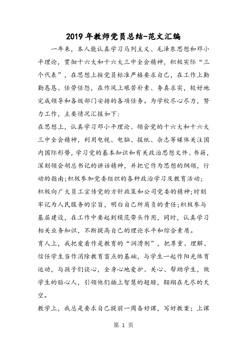 2019年教师党员总结-word文档