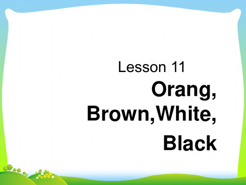 冀教版三年级《Lesson 12 orange, brown, white, black》课件