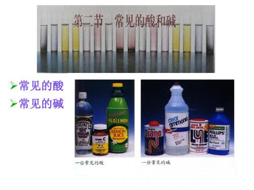 (沪教版)九年级化学全册课件：7.2常见的酸和碱