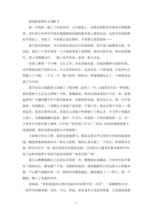 我战胜恐惧作文800字(优秀范文)