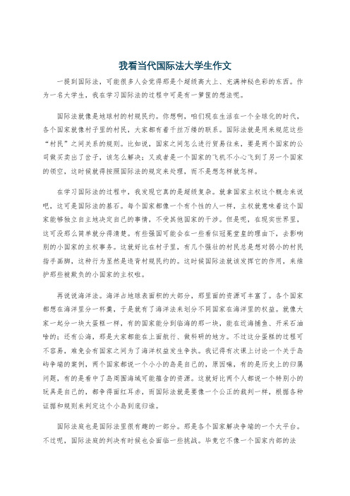 我看当代国际法大学生作文