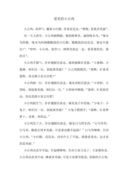 爱美的小公鸡