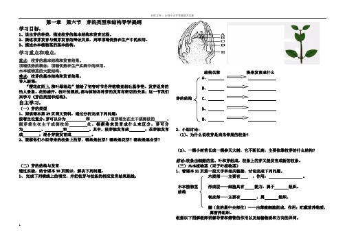 八年级生物上册第四单元第一章第六节芽的类型和结构