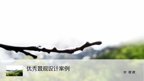 优秀景观案例(铺装,水景,植物)PPT