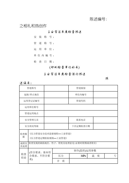 工业管道年度检查报告